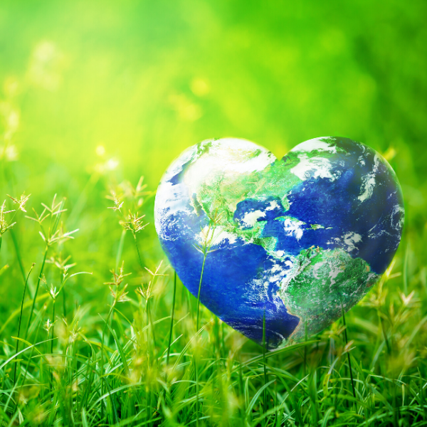 Earth Day 2020:  What is Your Company Doing to Reduce Its Footprint and Drive Towards a Circular Economy?